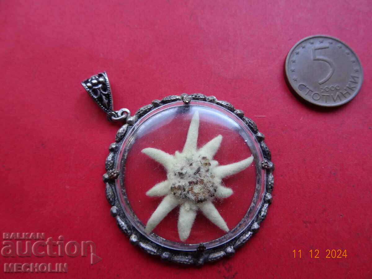 Pandantiv medalion de colecție edelweiss veche 1 - 7 Pandantiv medalion de colecție edelweiss veche 1 - 7