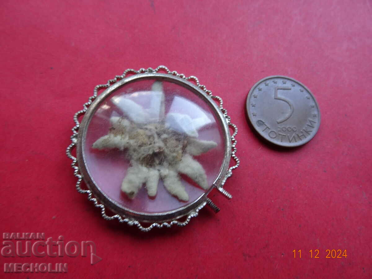 Delivery of COLLECTIBLE OLD edelweiss 2 locket pendant Delivery of COLLECTIBLE OLD edelweiss 2 locket pendant