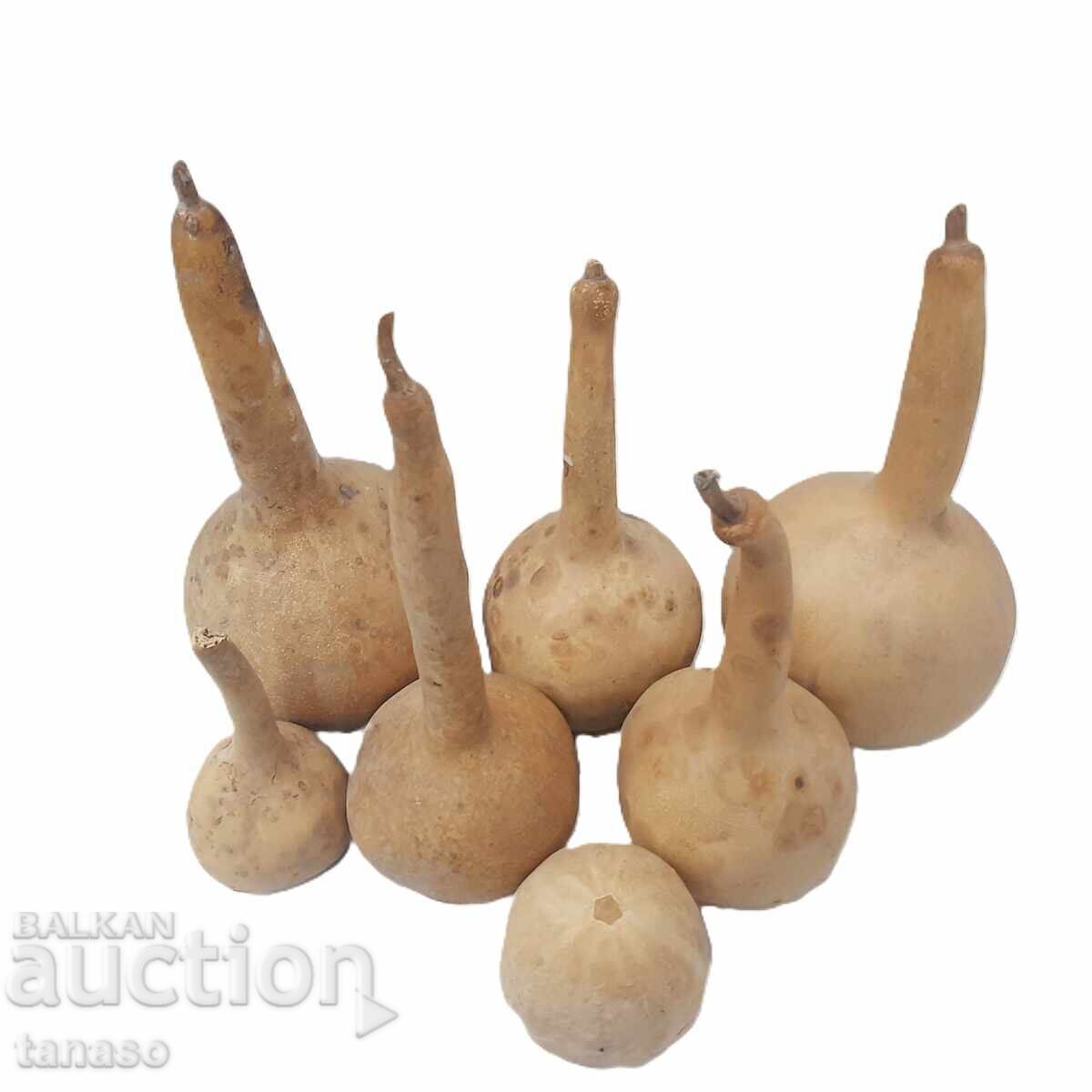 Lot of 7 old gourds, pumpkin(11.1) with price 35.00 BGN | € 17.90 Lot of 7 old gourds, pumpkin(11.1) with price 35.00 BGN | € 17.90
