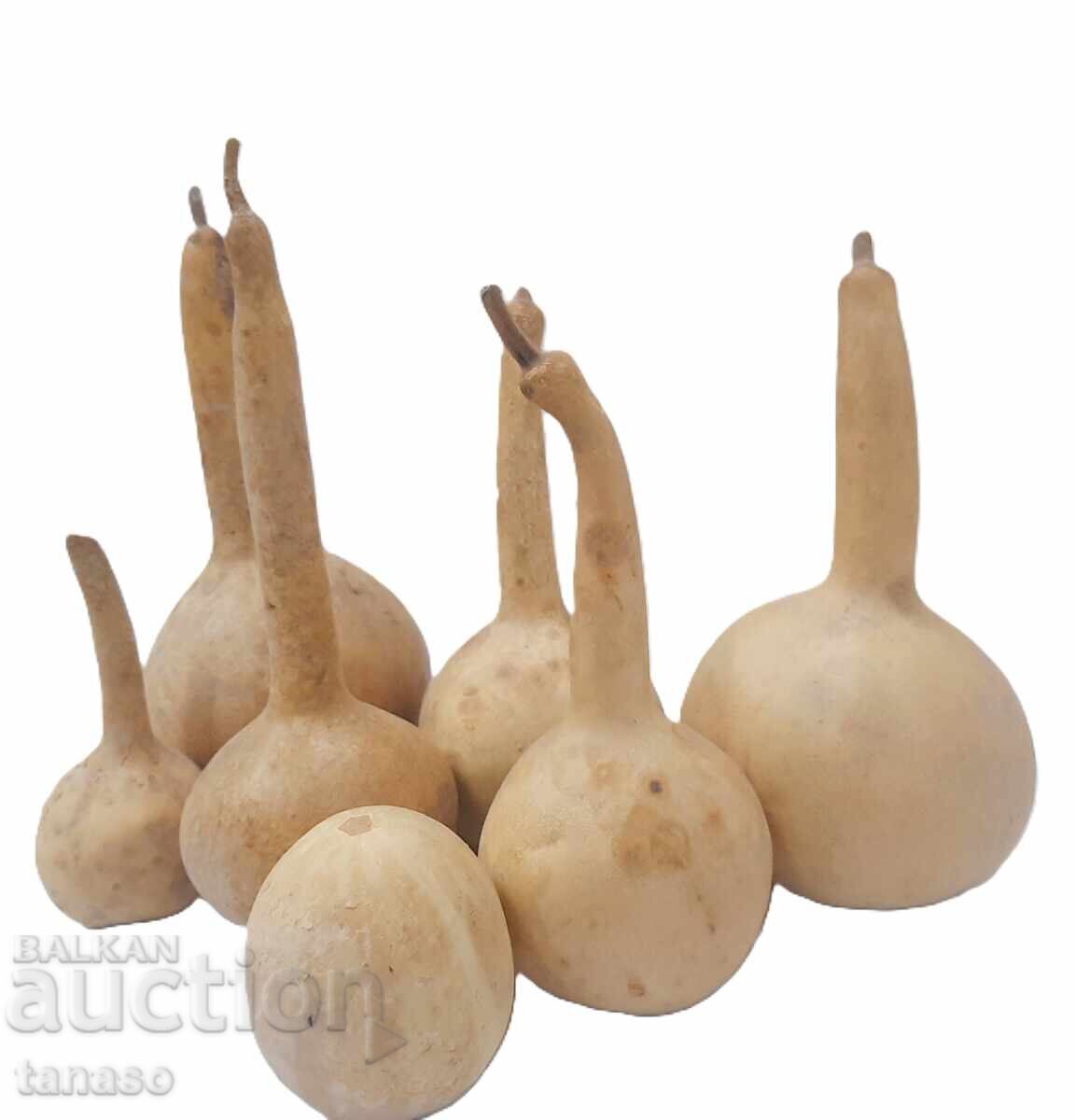 Auction Lot of 7 old gourds, pumpkin(11.1) Auction Lot of 7 old gourds, pumpkin(11.1)