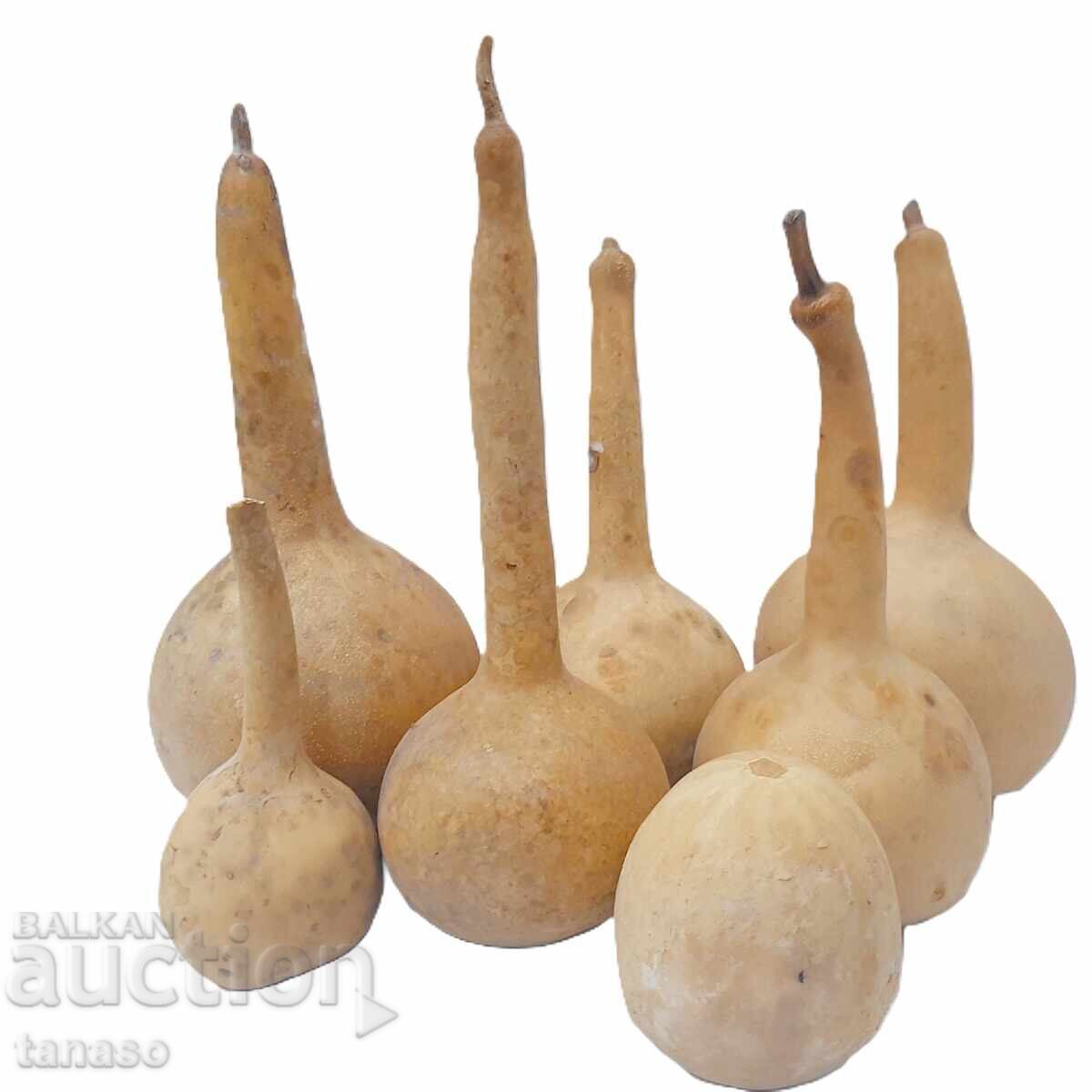 Delivery of Lot of 7 old gourds, pumpkin(11.1) Delivery of Lot of 7 old gourds, pumpkin(11.1)