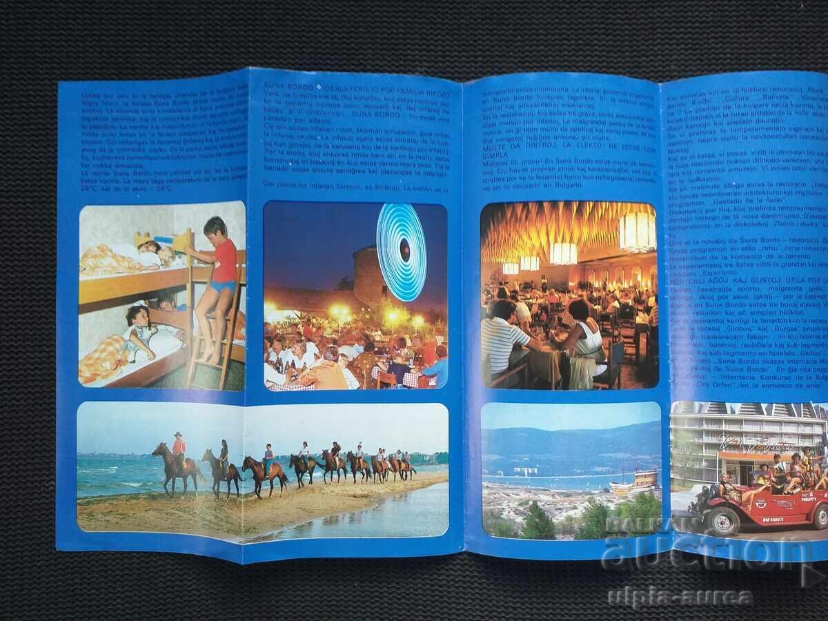 Auction  Social brochure