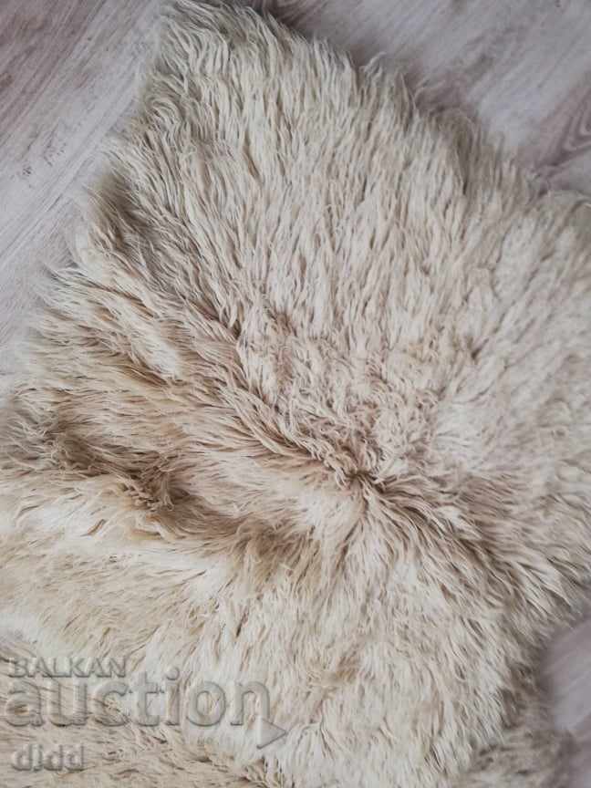 Kitenik cu preț € 148.27 | 289.99 BGN