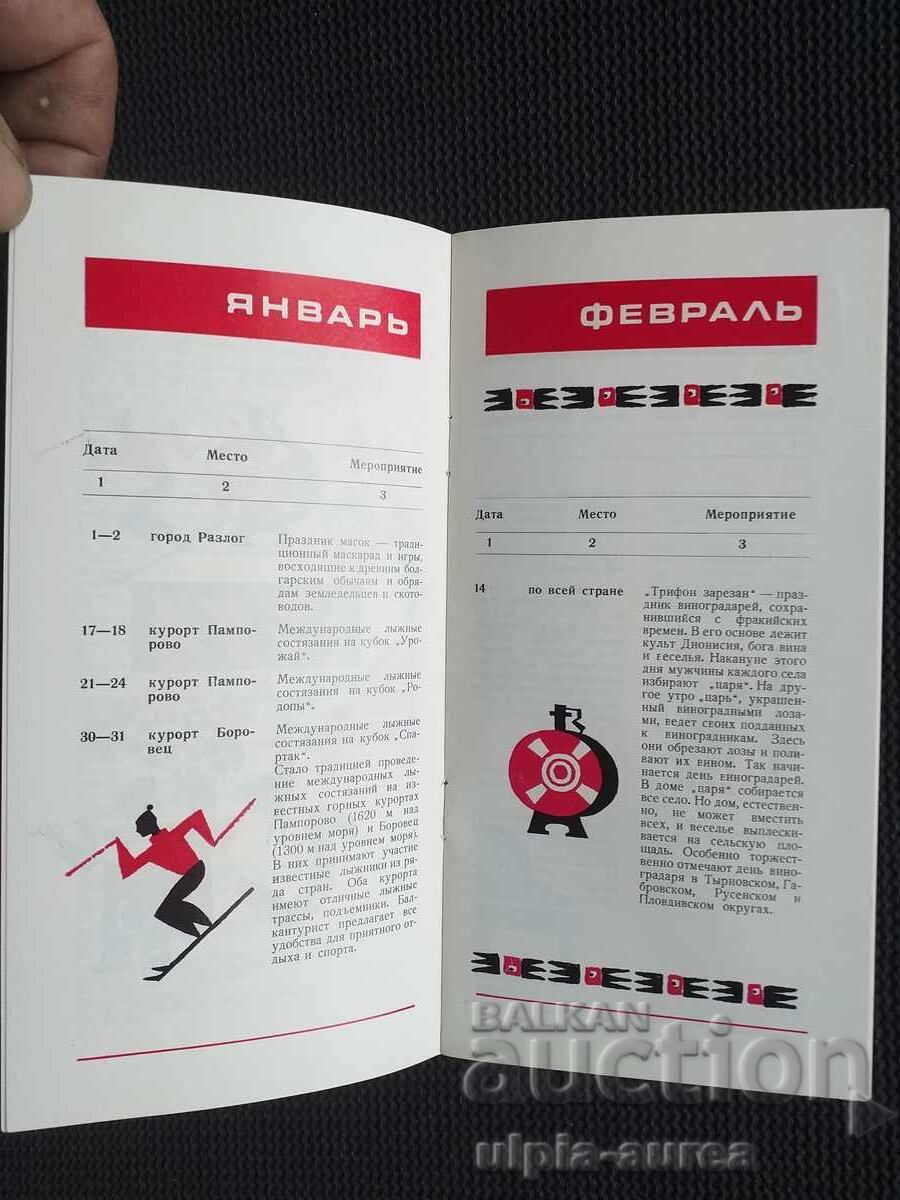 Auction  Social brochure