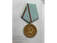 rare Veteran of Labor medal