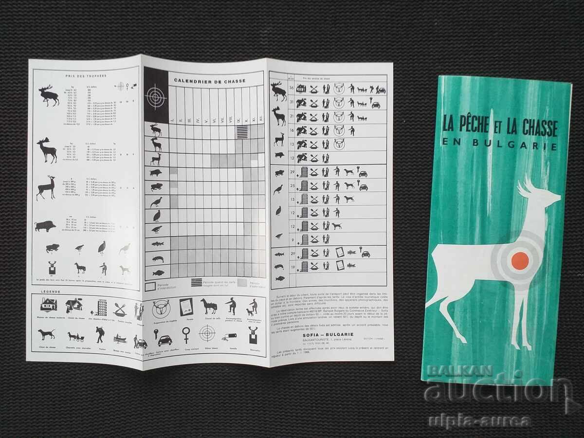 Auction  Social brochure