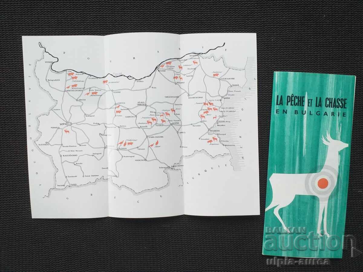 Delivery of Social brochure