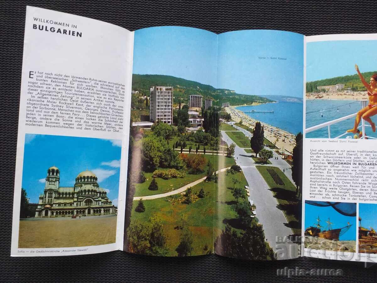 Delivery of Social brochure Delivery of Social brochure