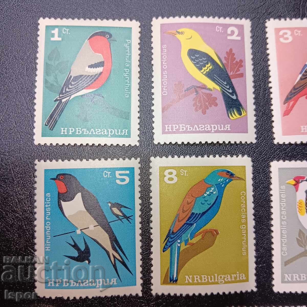 Bulgaria clean series with price 6.00 BGN | € 3.07 Bulgaria clean series with price 6.00 BGN | € 3.07