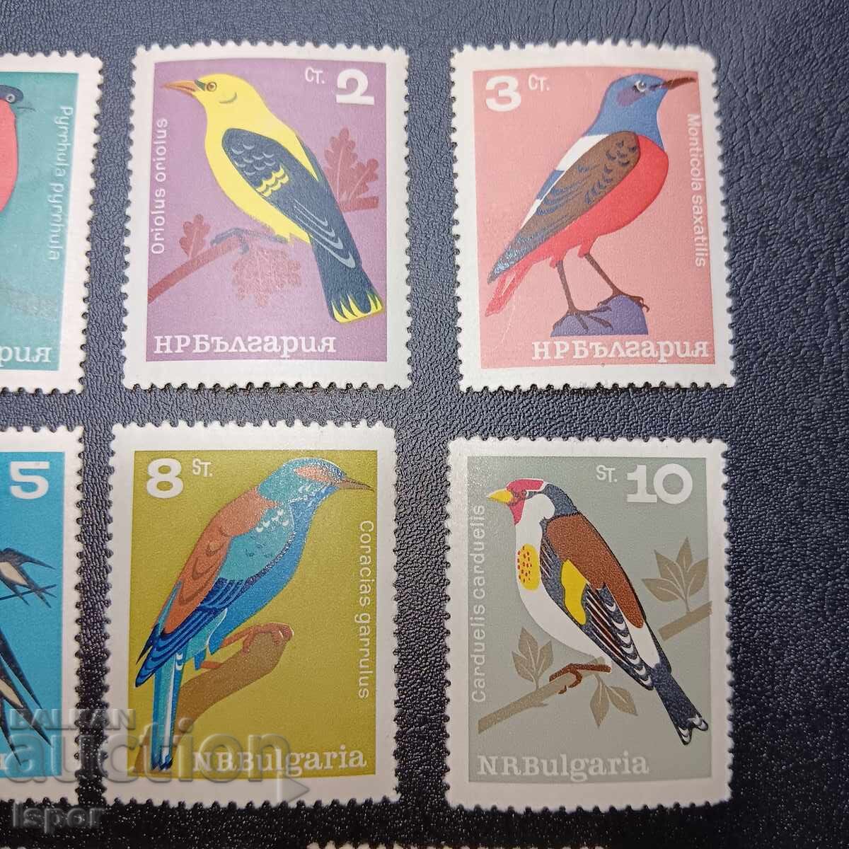 Auction Bulgaria clean series Auction Bulgaria clean series