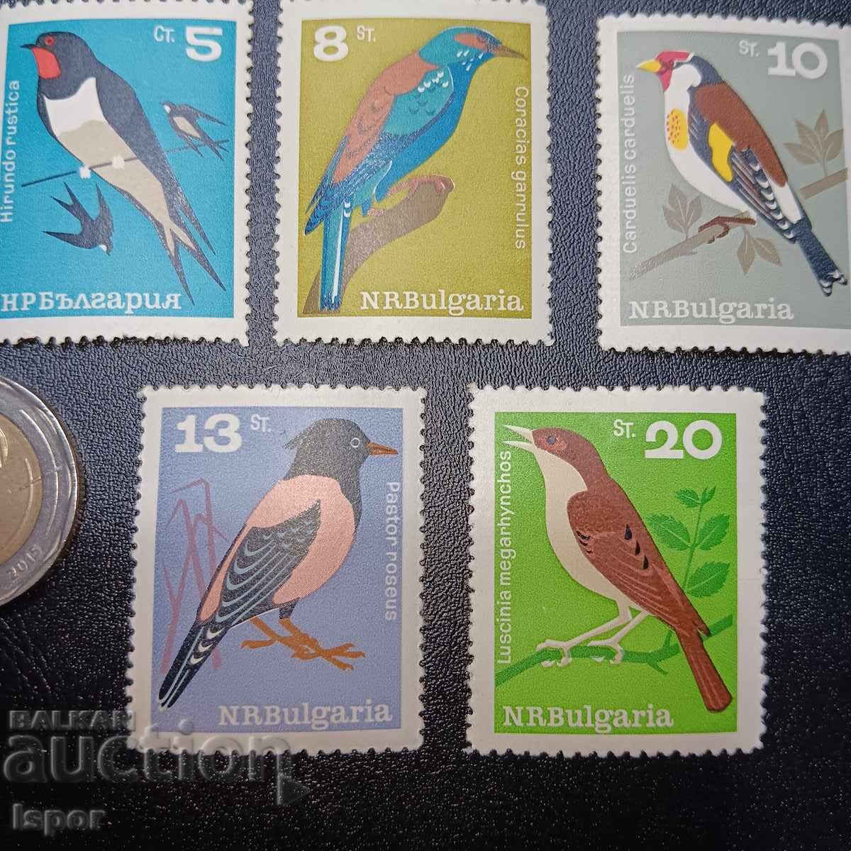 Delivery of Bulgaria clean series Delivery of Bulgaria clean series