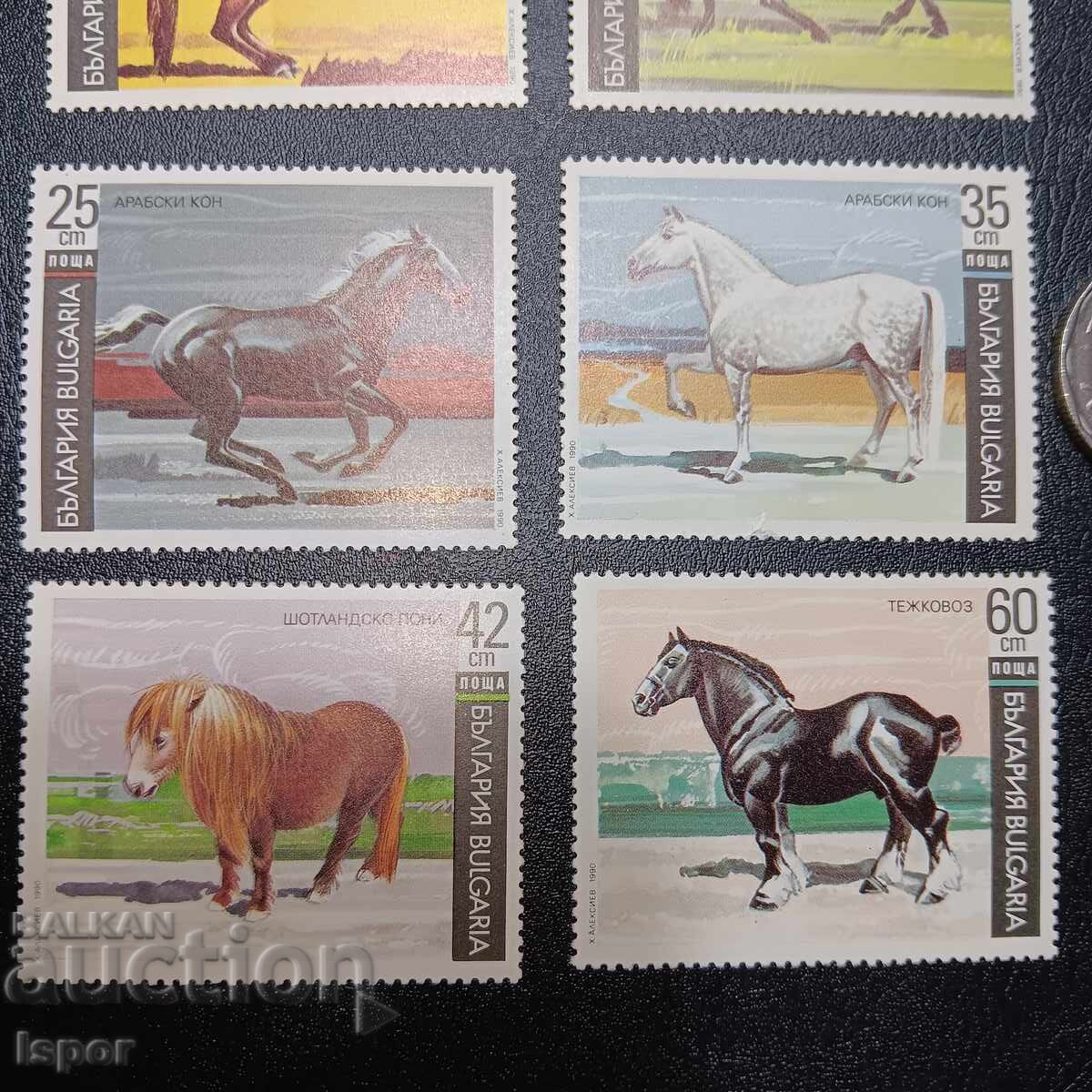 Auction Bulgaria clean series Auction Bulgaria clean series