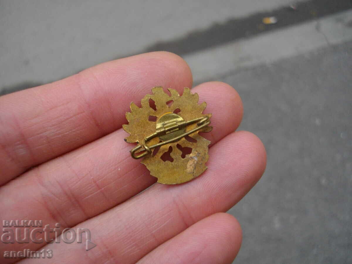 OLD BRONZE ENAMEL BADGE TIROL - 5