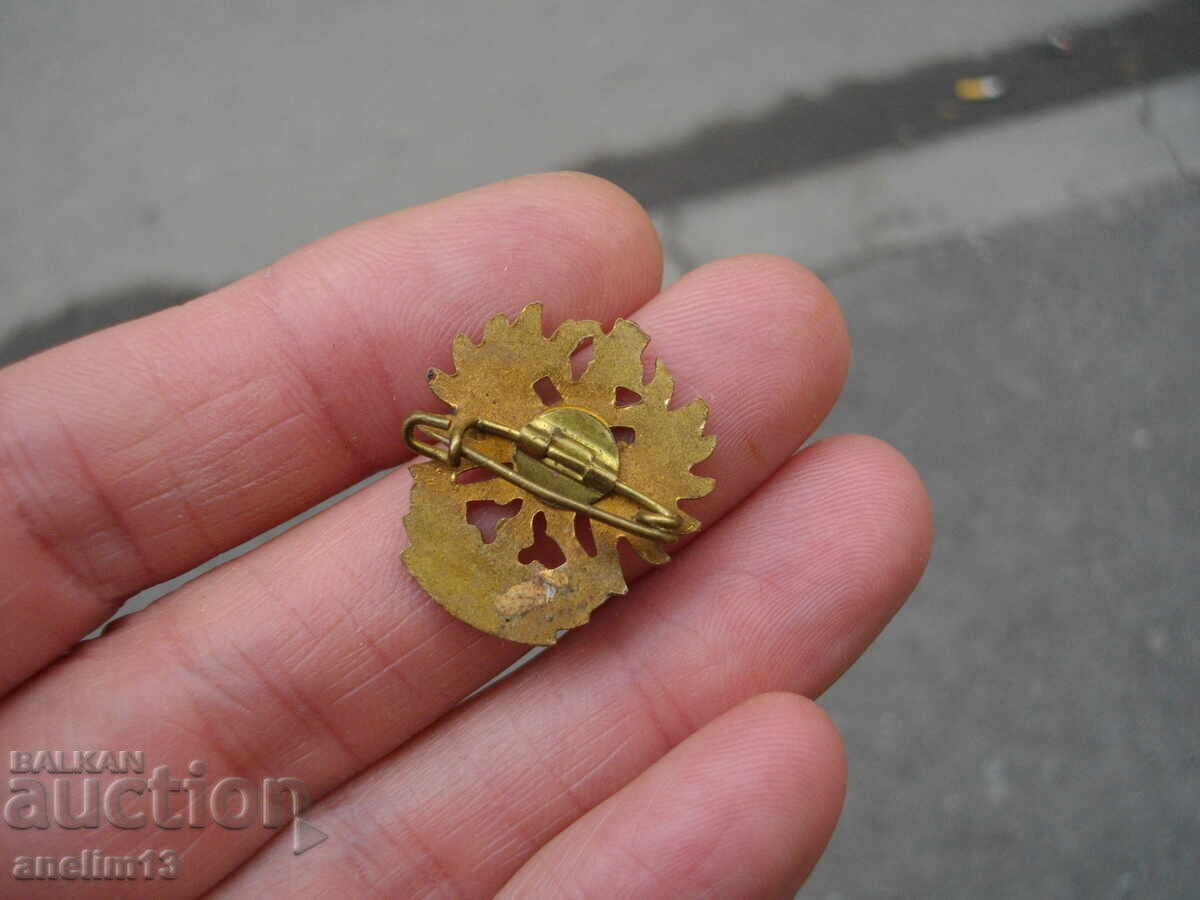 ΠΑΛΑΙΟ ΜΠΡΟΝΖΙ ΣΜΑΛΤΟ ΤΙΡΟΛΟ - 6 ΠΑΛΑΙΟ ΜΠΡΟΝΖΙ ΣΜΑΛΤΟ ΤΙΡΟΛΟ - 6