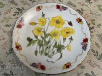 A beautiful porcelain plate