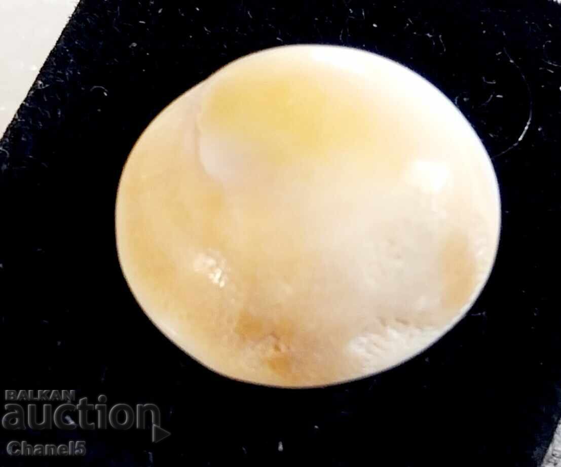 NATURAL "EYE OF SHIVA" (2) with price 9.90 BGN | € 5.06 NATURAL "EYE OF SHIVA" (2) with price 9.90 BGN | € 5.06