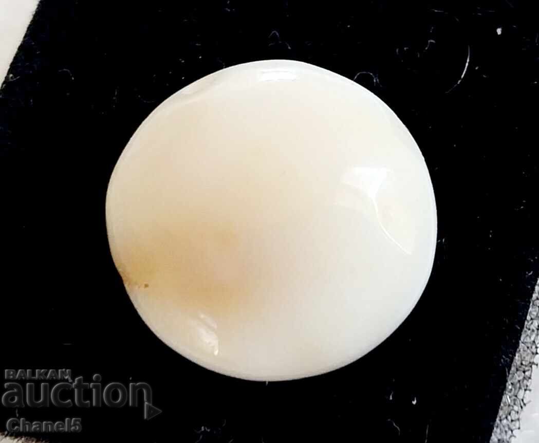 NATURAL "EYE OF SHIVA" (3) with price 9.90 BGN | € 5.06 NATURAL "EYE OF SHIVA" (3) with price 9.90 BGN | € 5.06