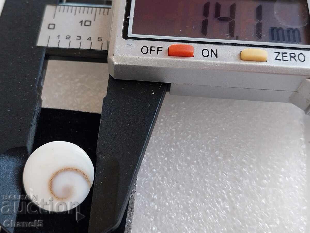 Auction NATURAL "EYE OF SHIVA" (3) Auction NATURAL "EYE OF SHIVA" (3)