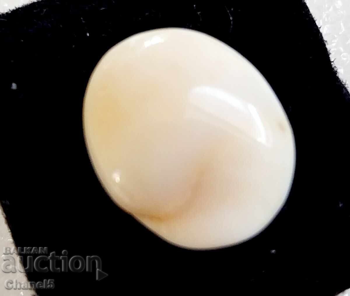 NATURAL "EYE OF SHIVA" (4) with price 9.90 BGN | € 5.06