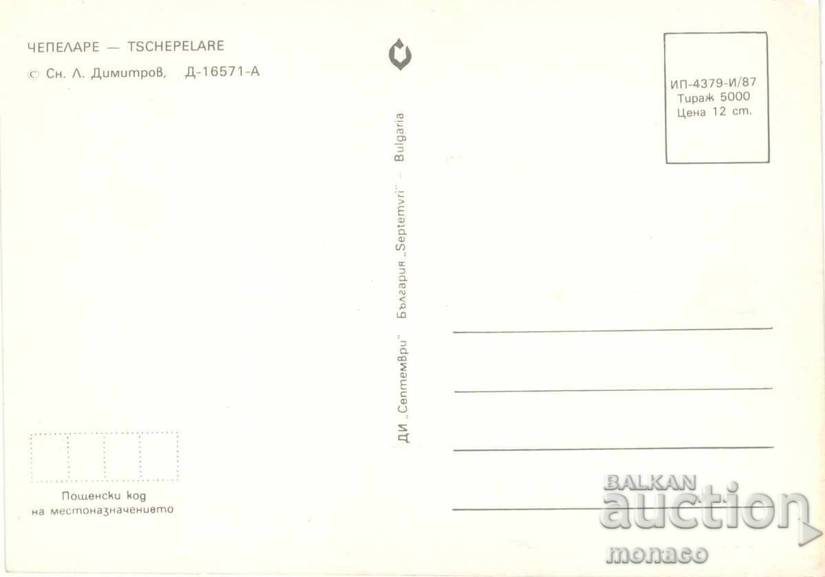 Old postcard - Chepelare, General view with price 0.80 BGN | € 0.41 Old postcard - Chepelare, General view with price 0.80 BGN | € 0.41