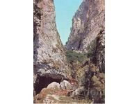 Old postcard - Trigrad Gorge