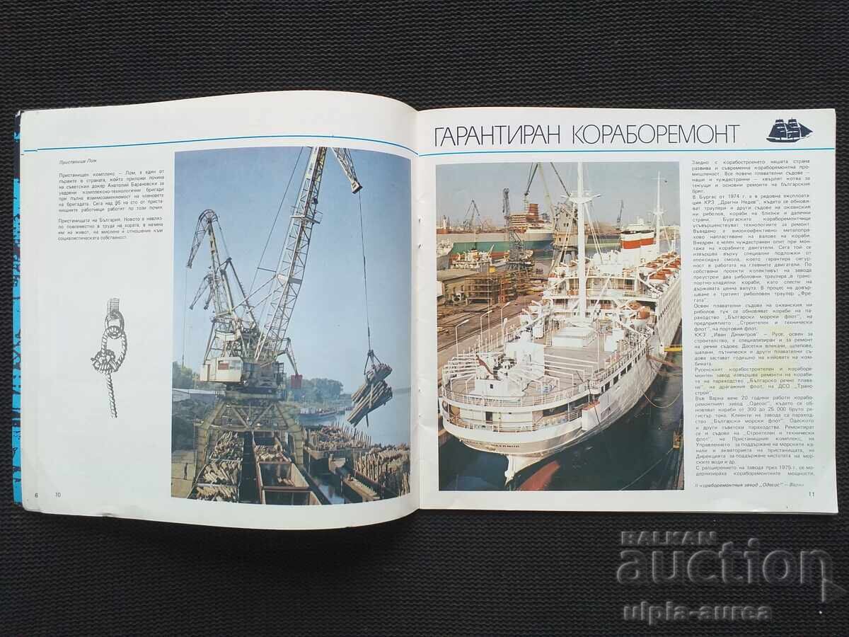 Auction  Social brochure Sea Week