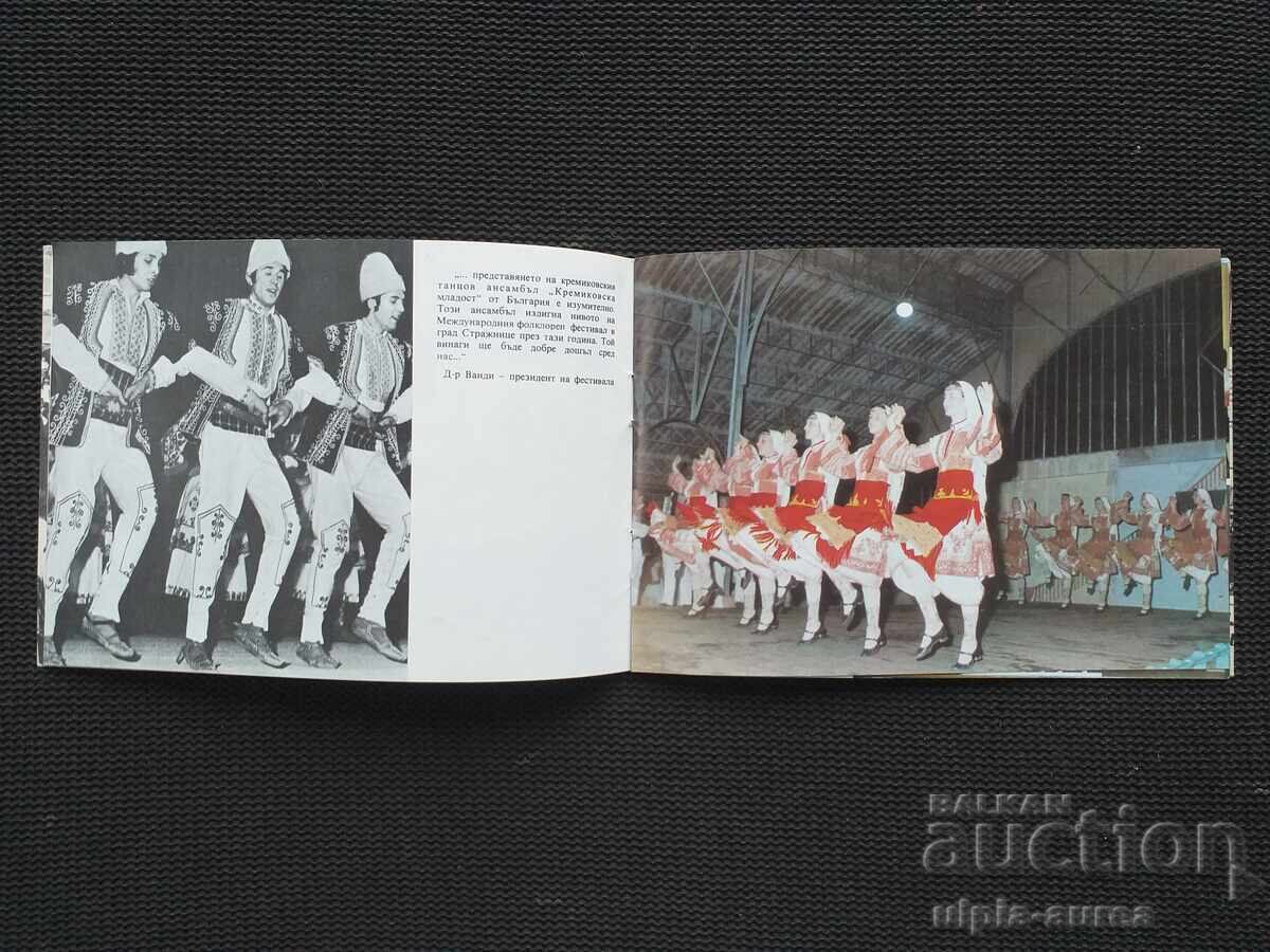 Auction  Social brochure Kremikovska youth