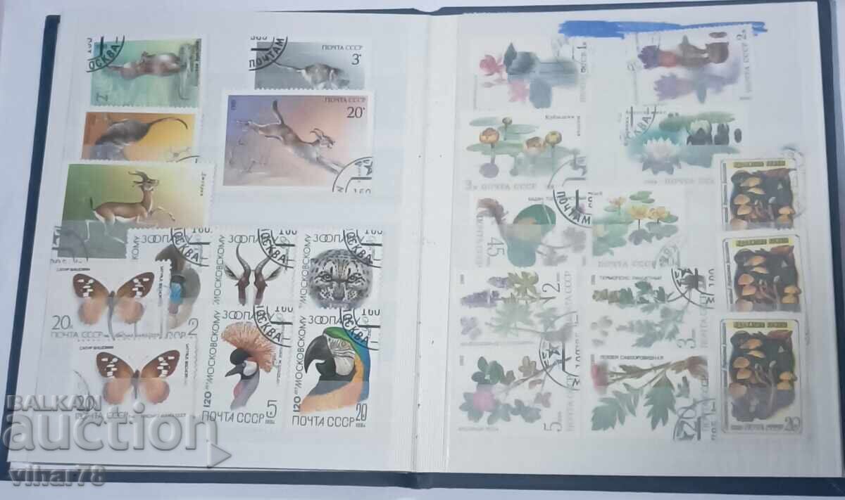 Binder with 5 cards with 5 postage stamps glued on - 6 Binder with 5 cards with 5 postage stamps glued on - 6