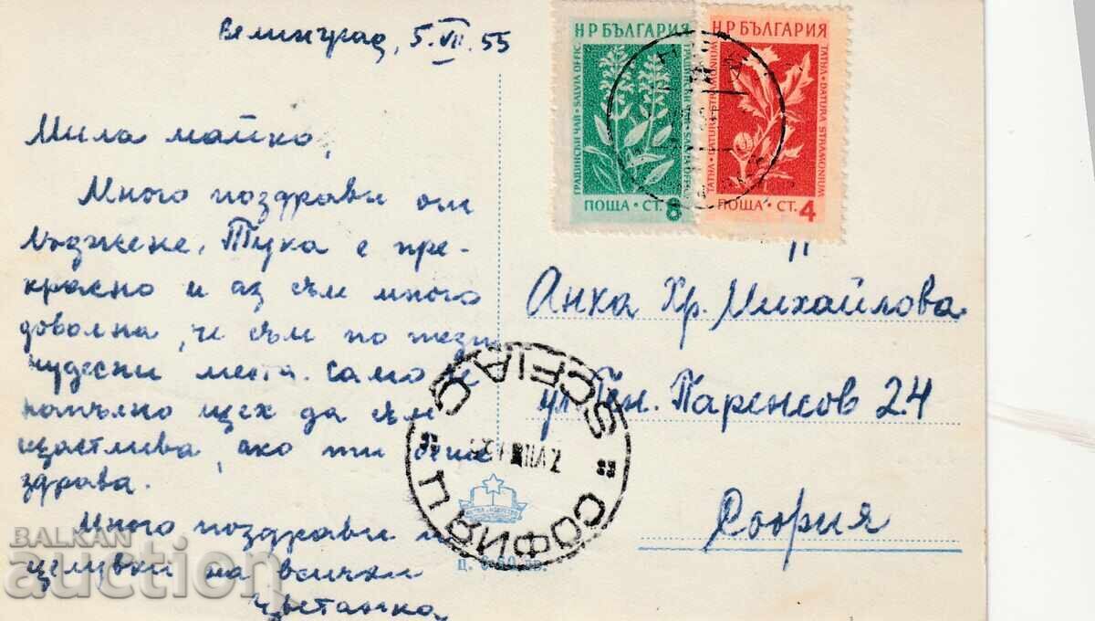 България 1955г. ПК изглед от Велинград пътувала с цена € 1.40 | 2.74 лв.