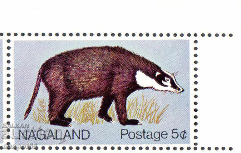 1969. Nagaland, India. Badger - porcupine. ILLEGAL.