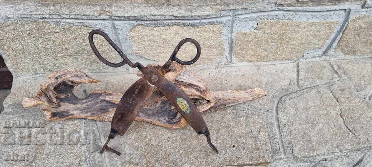 Old scissors