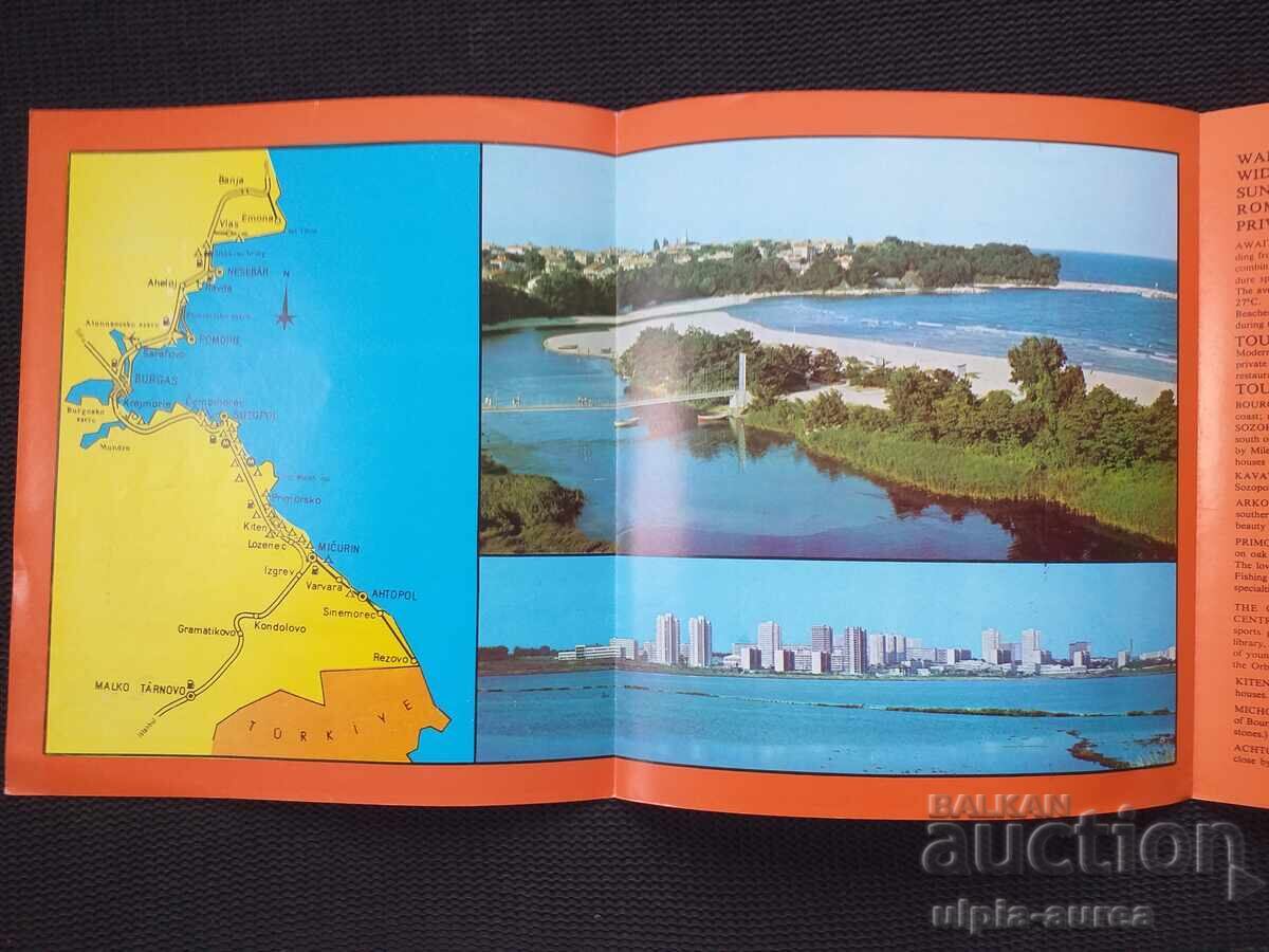 Auction  Social brochure