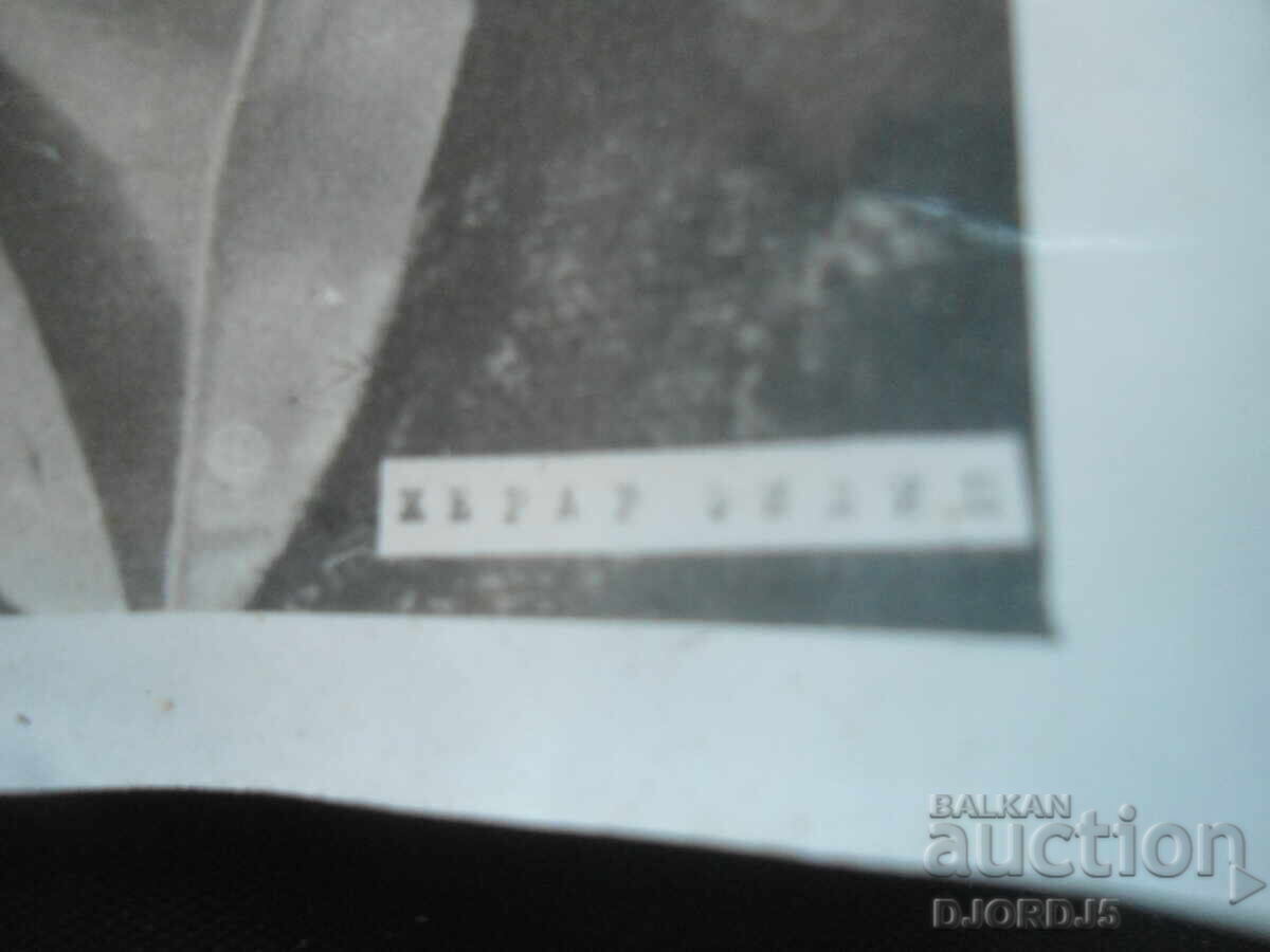 GERARD PHILIP, Old photo with price 0.50 BGN | € 0.26 GERARD PHILIP, Old photo with price 0.50 BGN | € 0.26