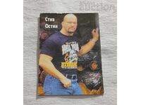 STEVE AUSTIN KETCH CALENDAR 2002