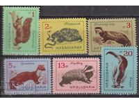 BC 1433-1438 Animals