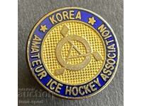 953 South Korea Ice Hockey Association Enamel Badge