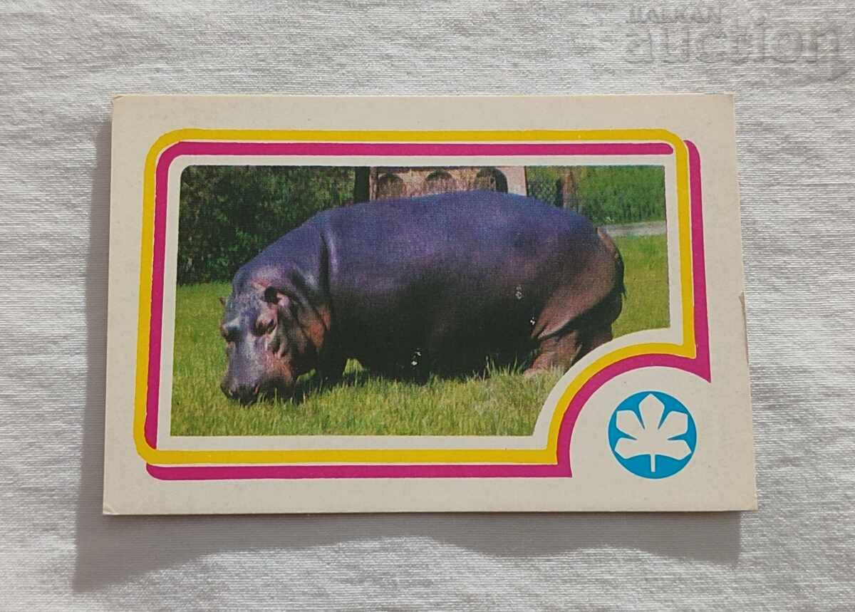 CALENDARUL HIPOPOTANEI IUNIE 1985