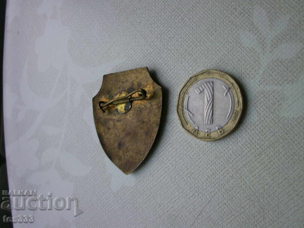 Значка Отрядник емайлирана - 5