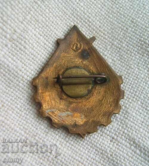 USSR "Young Technician" badge. Email with price 6.00 BGN | € 3.07 USSR "Young Technician" badge. Email with price 6.00 BGN | € 3.07