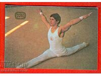 CALENDAR - SPORTS TOTO - GYMNASTICS MEN - 1981