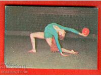 CALENDAR - TOTO SPORTIV - MINGE DE GIMNASTICA - 1981