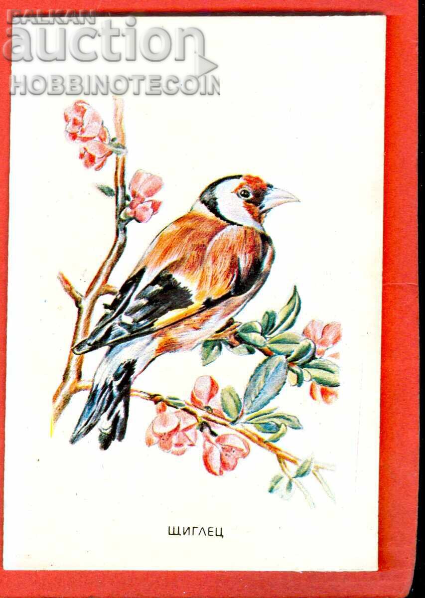 CALENDAR - PASĂRĂ - PIN - 1983