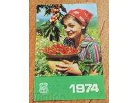 . 1974 DZI CALENDAR SOCIAL PERFECT