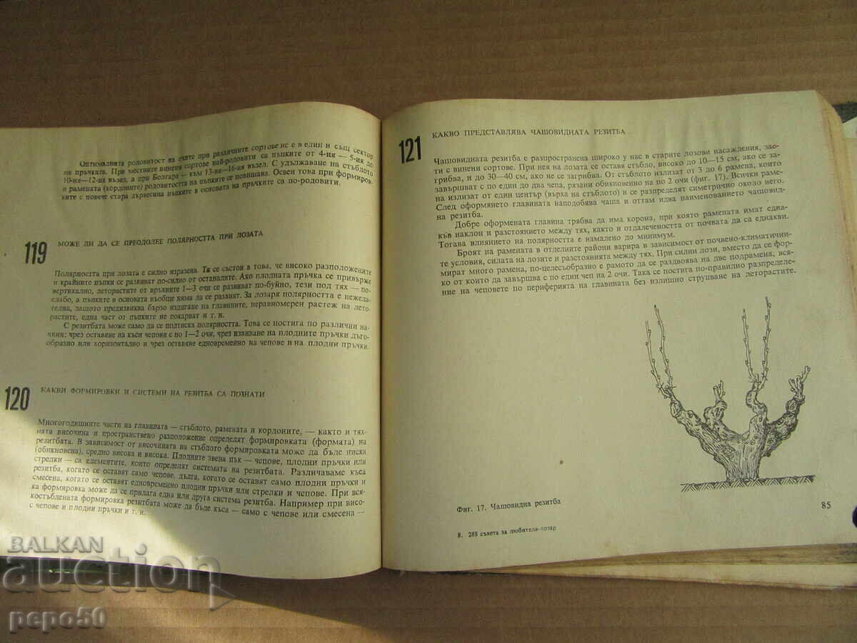 Delivery of 288 TIPS FOR THE AMATEUR VINE-GROWER - 1977