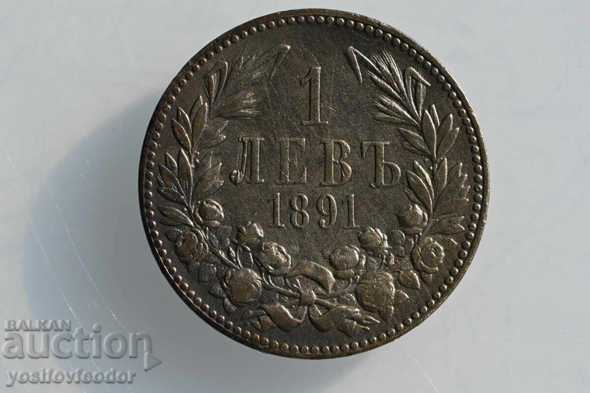 1 LEV 1891