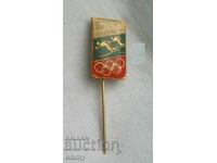 Insigna Jocurilor Olimpice Lake Placid 1980, schi