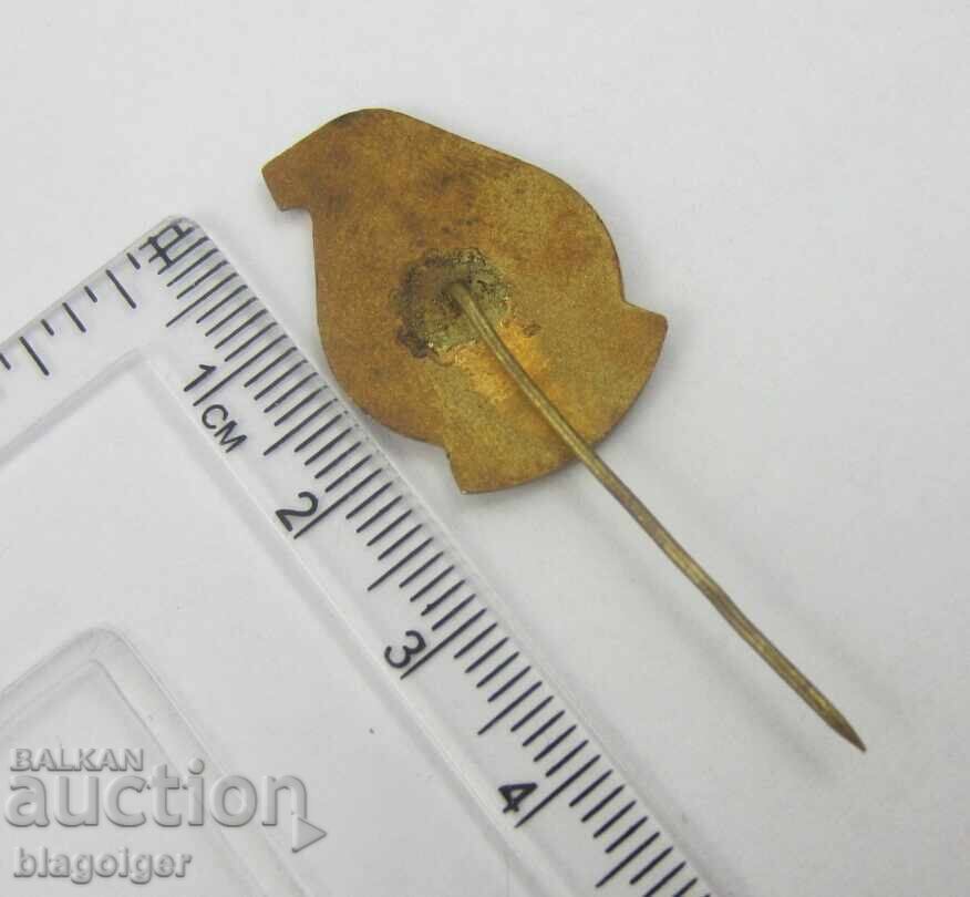 TNTM-PLEVEN-BRONZE-ENAMEL with price 6.99 BGN | € 3.57 TNTM-PLEVEN-BRONZE-ENAMEL with price 6.99 BGN | € 3.57