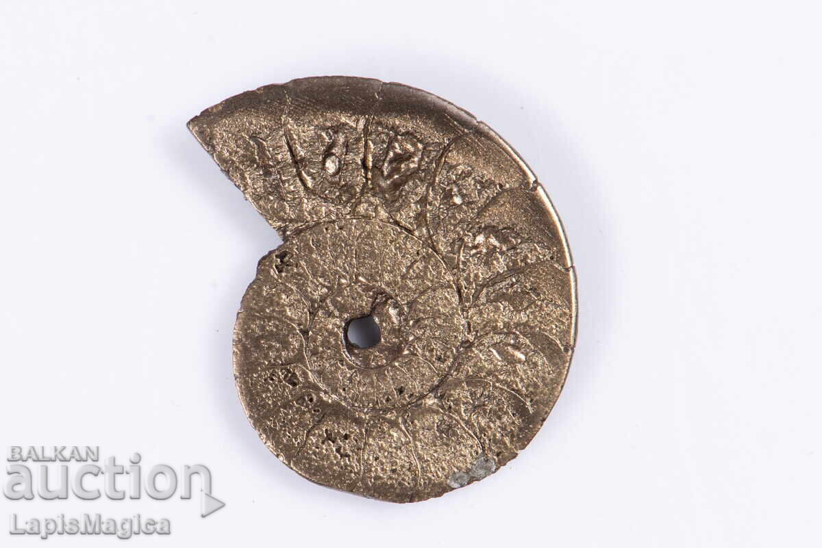 Πυριτοποιημένος αμμωνίτης 1,26g 16mm Κομμένο στο μισό #1 με τιμή 24.00 BGN | € 12.27 Πυριτοποιημένος αμμωνίτης 1,26g 16mm Κομμένο στο μισό #1 με τιμή 24.00 BGN | € 12.27