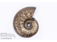 Pyritized ammonite 1.26g 16mm cut half #1