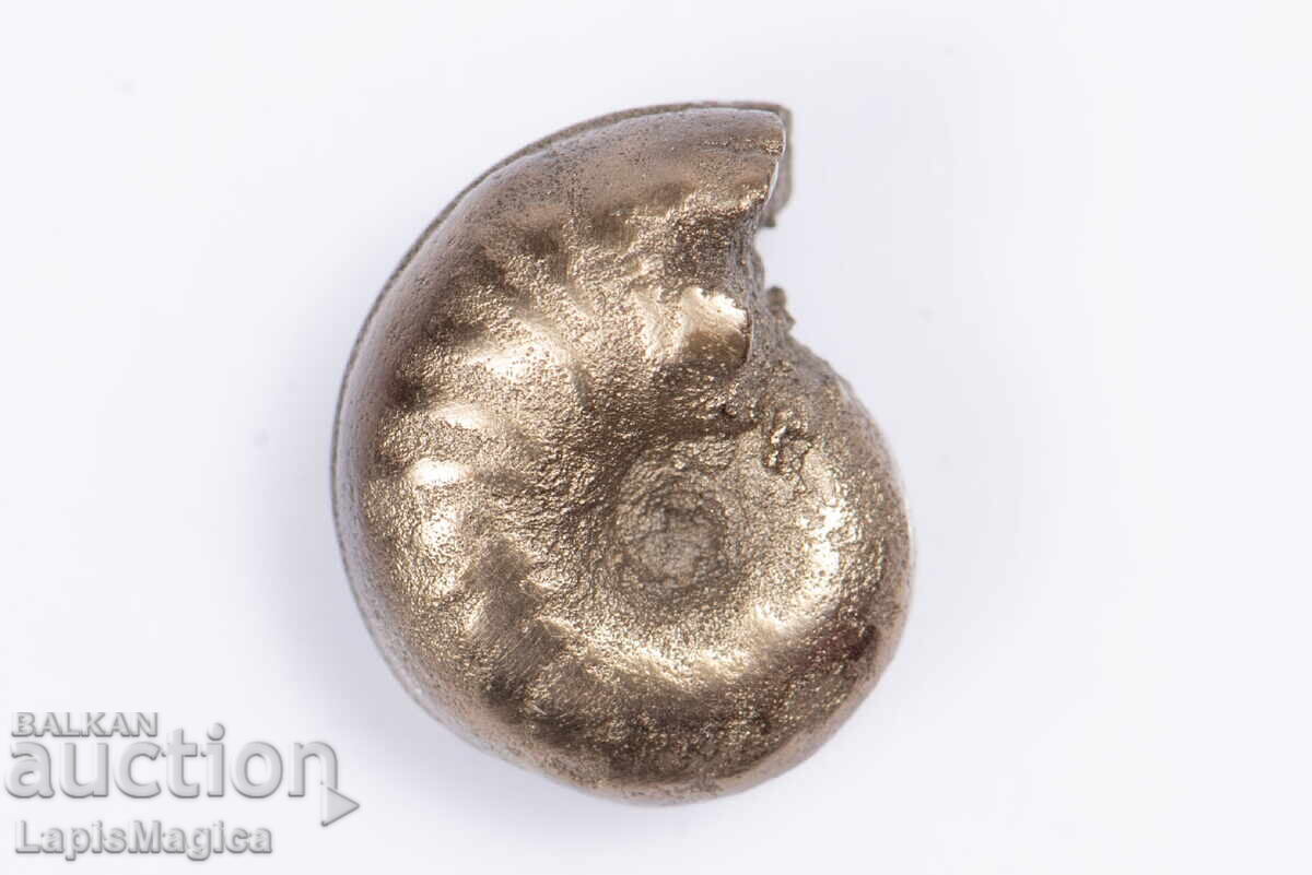 Pyritized Ammonite 2.5g 13mm #2 with price 24.00 BGN | € 12.27 Pyritized Ammonite 2.5g 13mm #2 with price 24.00 BGN | € 12.27
